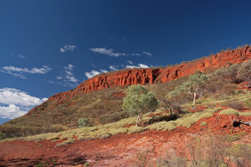 Naklejka premium Landschaft - Australien