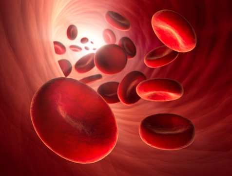 Rote Blutk&ouml;rperchen in Arterie