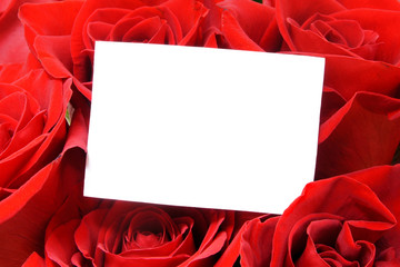 Blank card with room for text among beautiful red roses