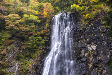 Fototapeta na wymiar Cascade au Japon - Falls w Japonii