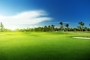 Fototapeta premium golf course