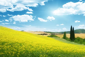 Rolgordijnen field of yellow flowers Tuscany, Italy © Iakov Kalinin
