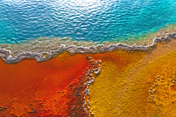 Beautiful colors in a geyser pool, Yellowstone - obrazy, fototapety, plakaty