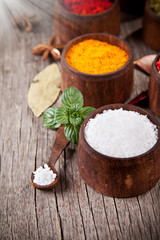 Various kind of spices in wooden bowls