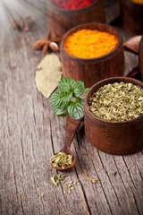 Various kind of spices in wooden bowls