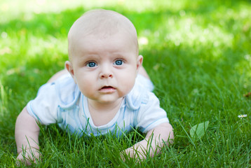 Adorable baby boy on green grass in summer