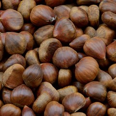 castagne