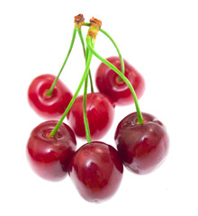 Sweet cherry background isolated on white background
