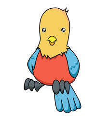 colorful cute parrot vector