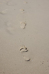 Footsteps in the sand