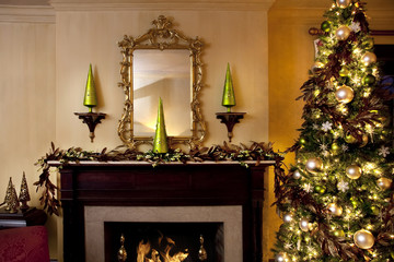 Elegant Living Room Decorated for Christmas
