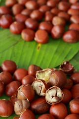 Chestnut seed on banana leaves