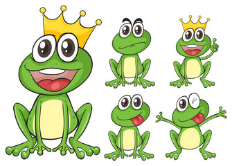 Green frogs
