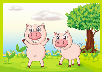 Smiling pigs