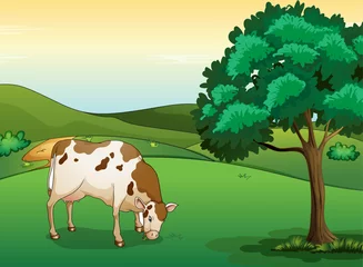 Poster de jardin Ferme Une vache mange de l& 39 herbe