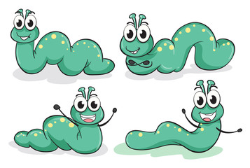 Four caterpillars