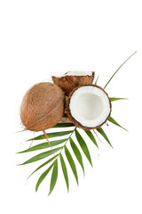 Fototapeta na wymiar Coconut z liśćmi