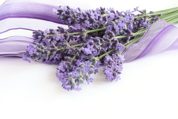 Bunch of Lavender half wrapped in a purple ribbon