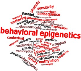 Word cloud for Behavioral epigenetics