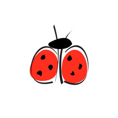 Vector logo ladybug
