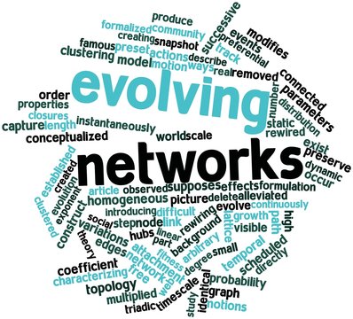 Word cloud for Evolving networks