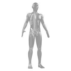 Silhouette des Menschen mit Skelett