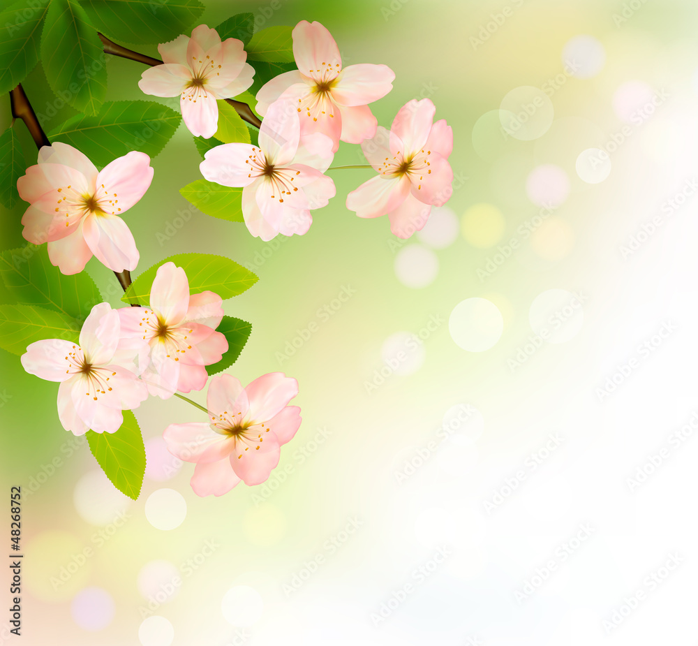 Poster Spring background with blossoming tree brunch with spring flower