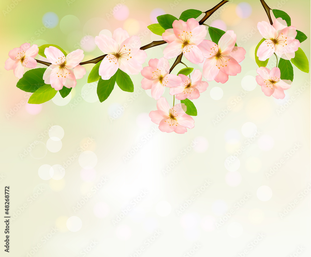 Aufkleber spring background with blossoming tree brunch with spring flower