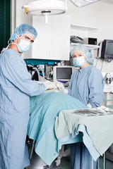 Veterinarian Doctor And Female Assistant Performing A Surgery