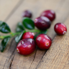 Rote Beeren