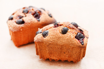 Black currant cakes