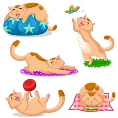 Photo sur Plexiglas Chats ensemble de chats dans différentes positions