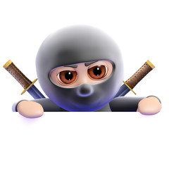 Ninja looks over the top of blank space © Steve Young