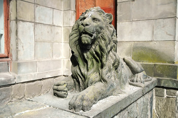 Sculpture of lion in Lvov, Ukraine