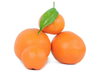 citruses isolated