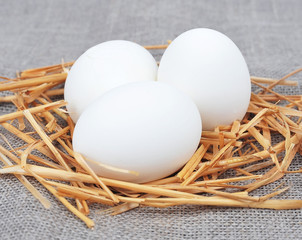 White eggs in a nest