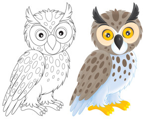 Owl © Alexey Bannykh