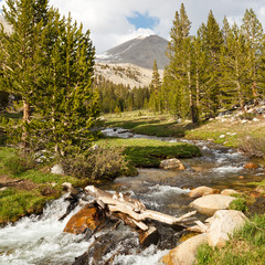 Whitney Creek, Sierra Nevada