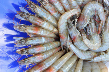 Raw shrimp