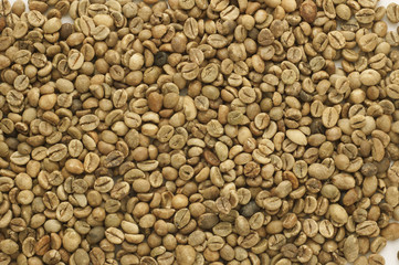 green coffee beans