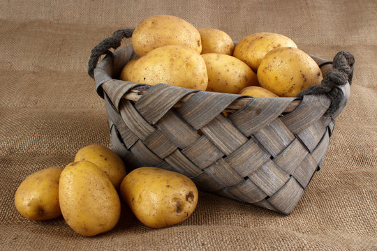 Basket of washed fresh potatoes