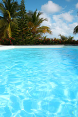 Fototapeta na wymiar Prywatny basen w strefie tropikalnej