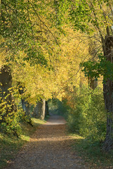 Obraz premium Country Walk