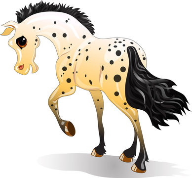 Cartoon spotted horse