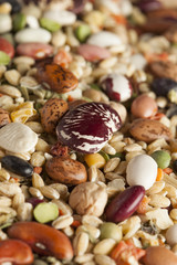 Group of Assorted Dry Beans