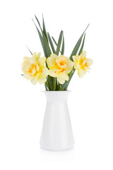 Bouquet of yellow daffodils in flowerpot