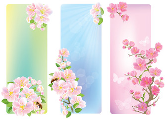 Vertical banners with a blossoming branch
