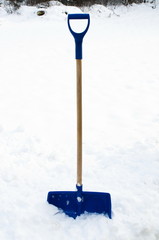 shovel snow