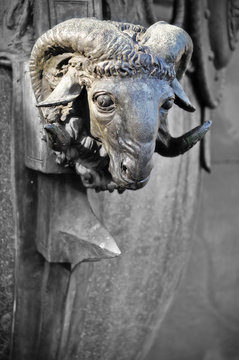 TESTA DI CAPRO ORNAMENTALE