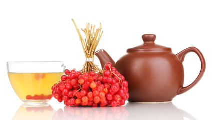 tea with red viburnum isolated on white